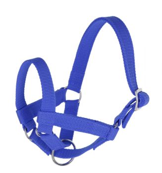 Lama-Halfter blau