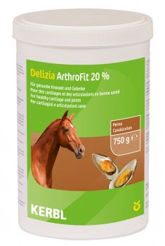 ArthroFit 20% 750g 