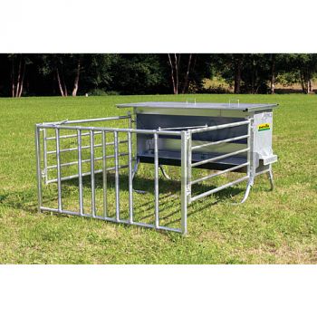 Kraftfutterautomat für Kälber