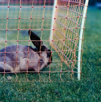 Elektrozaunnetz Ernteschutz