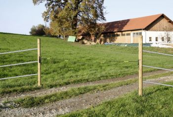 Elektro Viehschranke Electro Gate