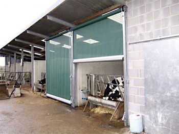 David-Beech-Rollerdoor-0.jpg