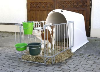 CalfHouse Master Plus mit Kalb