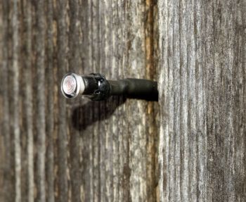 Lichtsensor für automatische Hühnertür