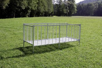 Grossballenraufe-Schafe