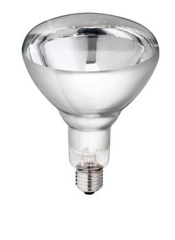 Hartglaslampe--Philips--250W-240V--klar-27440.jpg