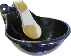 Zungenbecken Compact