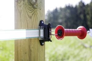 Bandtorisolator Profi inkl. Anschlussplatten