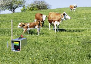 Offene Tragebox im Einsatz