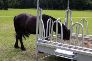 Dreipunkt-Schutzbügel